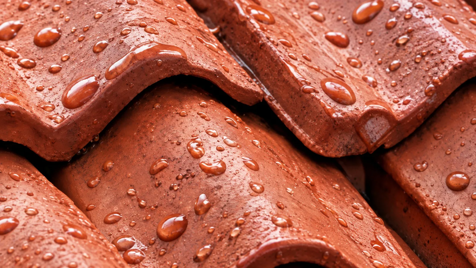 Tuiles en terre cuite mouillées par la pluie